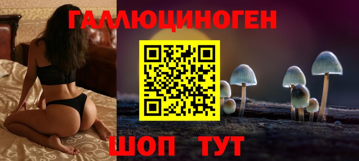 Галлюциногенные грибы Psilocybine cubensis Донецк